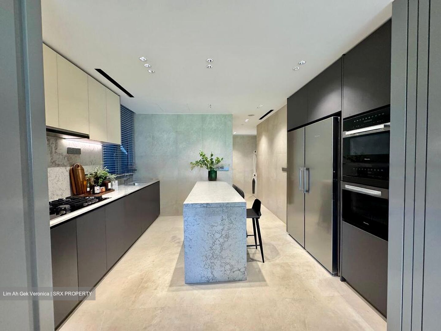 Zion Road (D3), Condominium #469112491